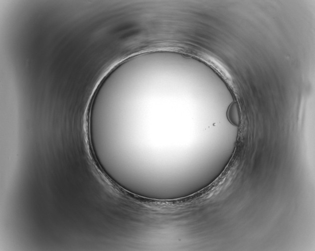 X0000094370907200711020751