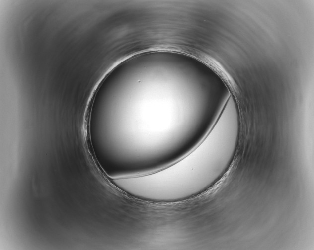 X0000094370908200711020751