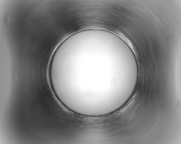 X0000094370909200711020751