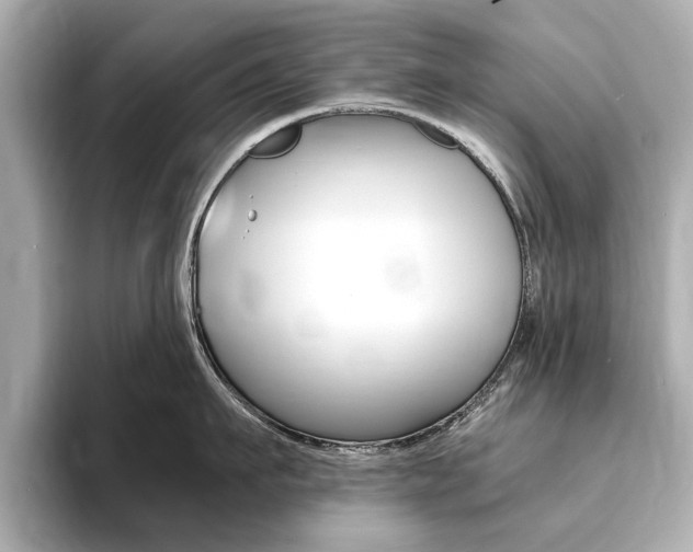 X0000094370911200711020751