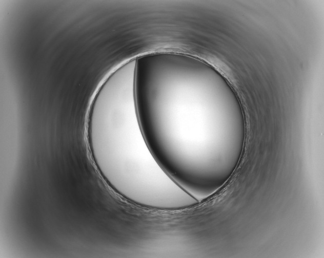 X0000094370912200711020751