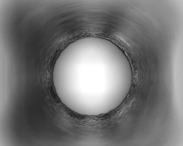 X0000094370917200711020750
