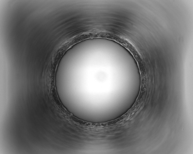 X0000094370919200711020750