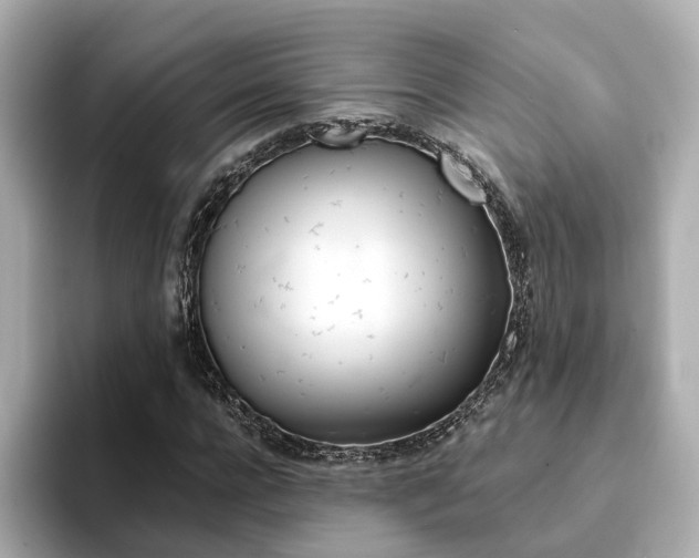 X0000094370920200711020750