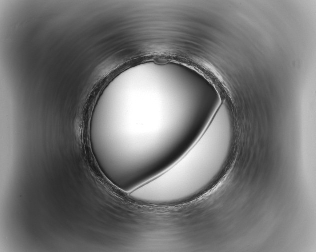 X0000094370922200711020750