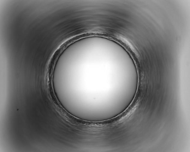 X0000094370923200711020750