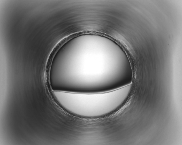 X0000094370924200711020750