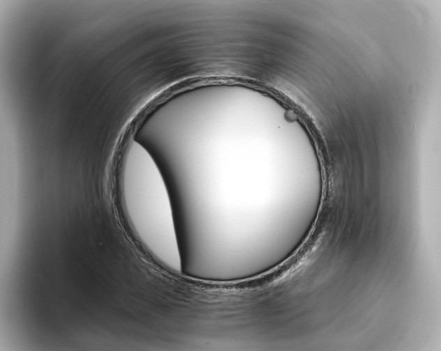 X0000094370925200711020750