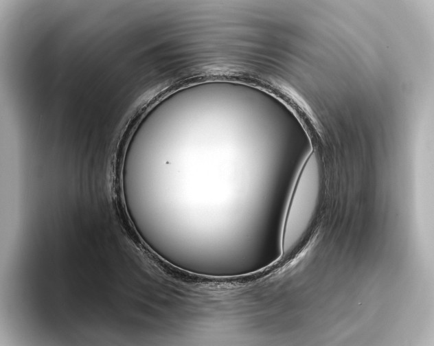 X0000094370930200711020750