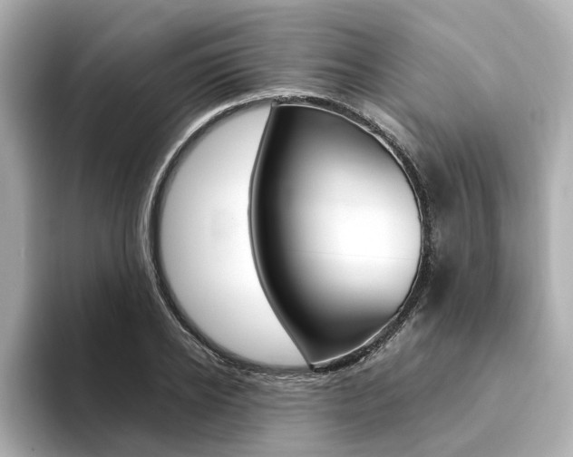 X0000094370934200711020750