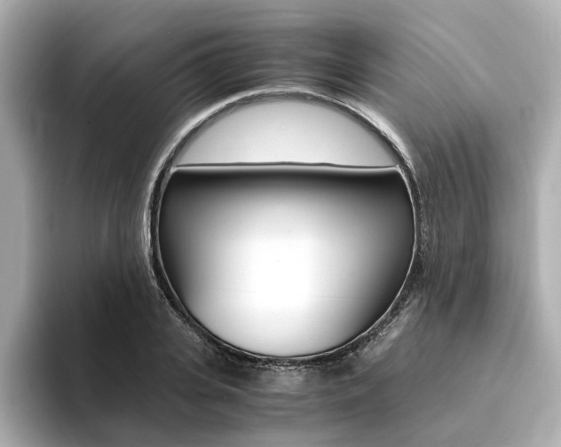 X0000094370935200711020750