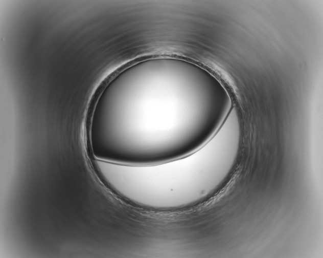 X0000094370936200711020750