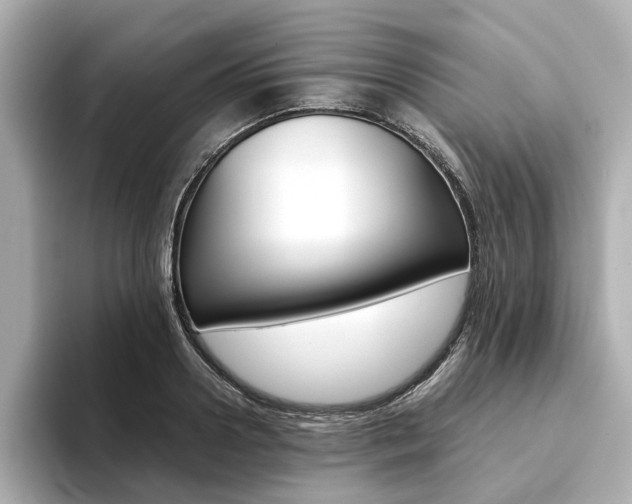 X0000094370938200711020750