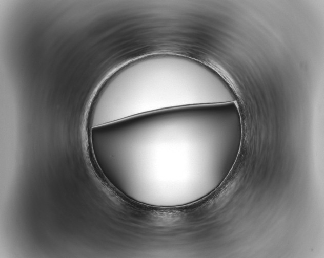 X0000094370939200711020750