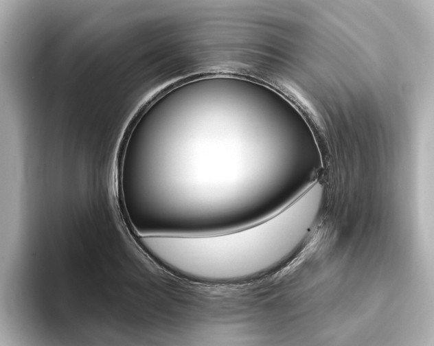 X0000094370940200711020750