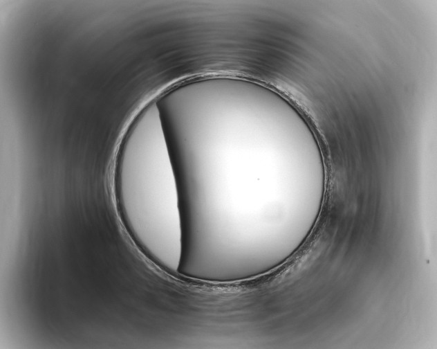 X0000094370941200711020750