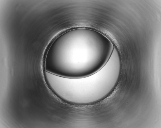 X0000094370942200711020750