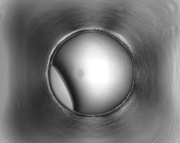 X0000094370943200711020750