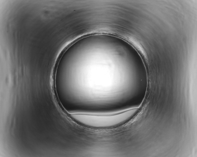 X0000094370944200711020750