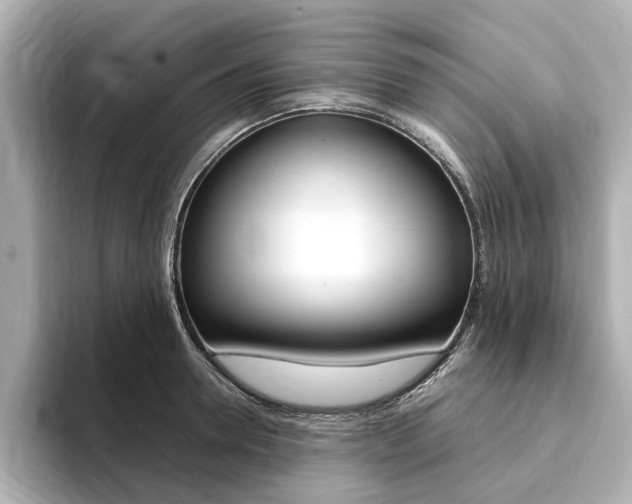 X0000094370946200711020750