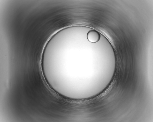 X0000094370948200711020750