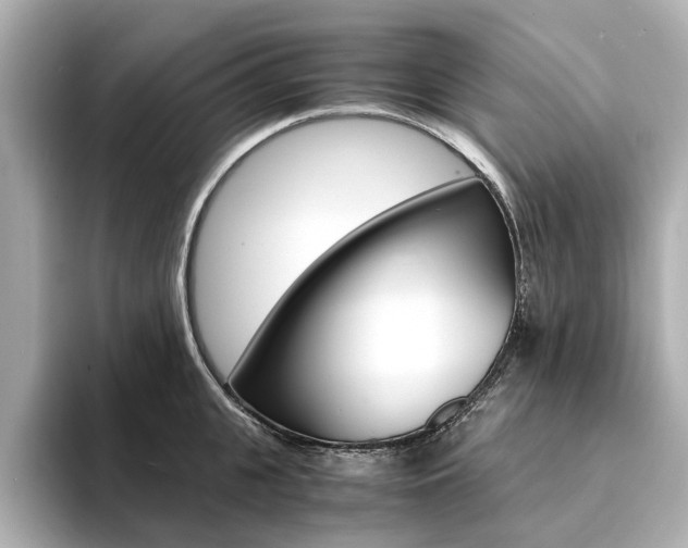 X0000094370951200711020750