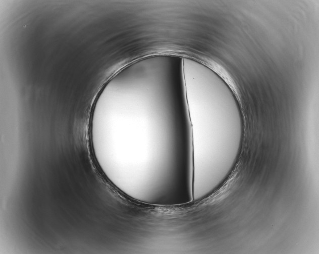 X0000094370954200711020751