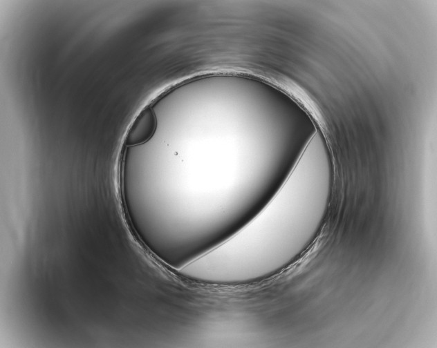 X0000094370958200711020751