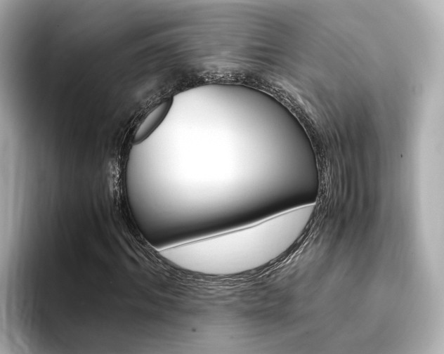 X0000094370964200711020750