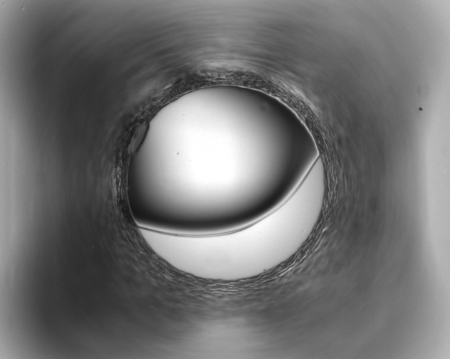 X0000094370965200711020750