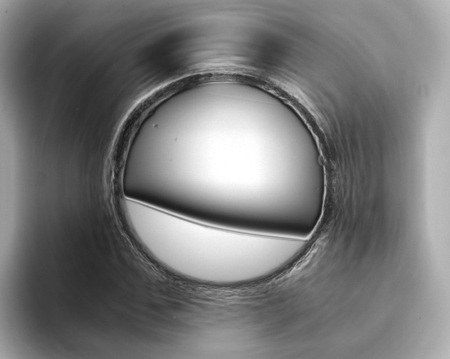X0000094370971200711020750
