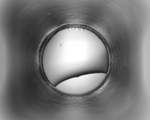 X0000094370974200711020750