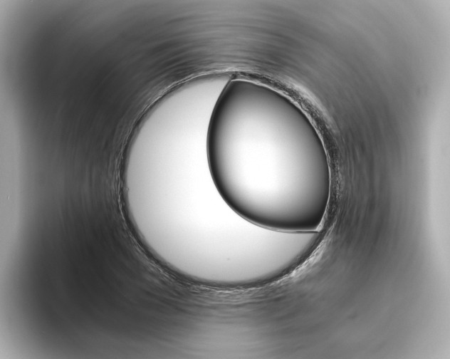 X0000094370977200711020750