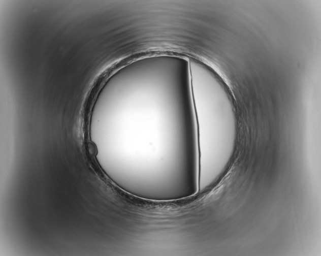 X0000094370979200711020750