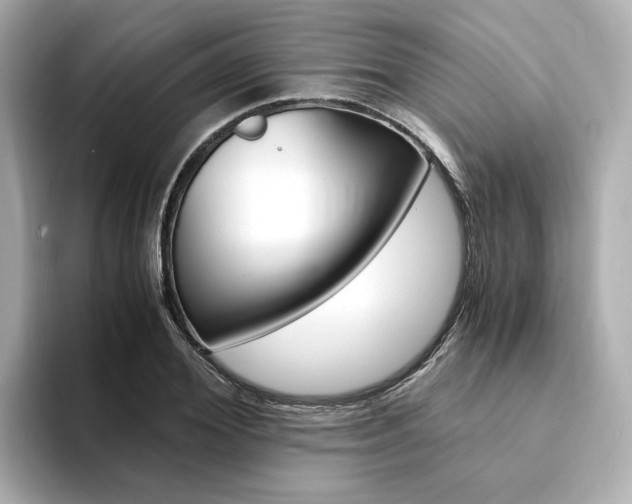 X0000094370980200711020750