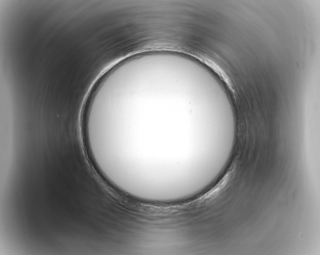 X0000094370981200711020750
