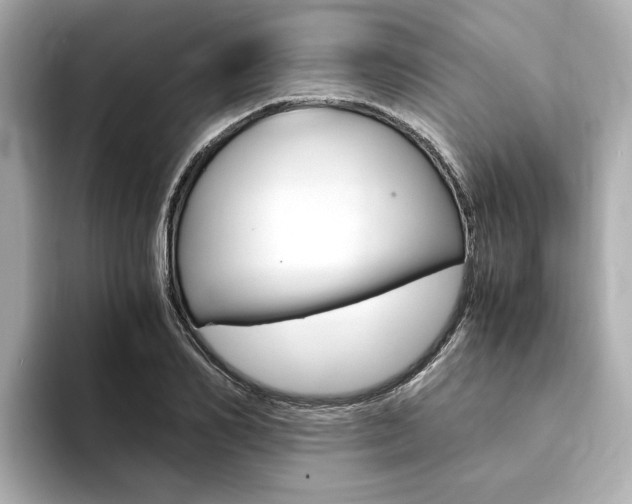 X0000094370982200711020750