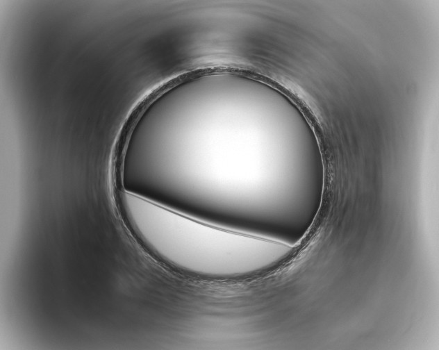 X0000094370983200711020750