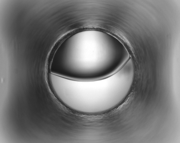 X0000094370984200711020750