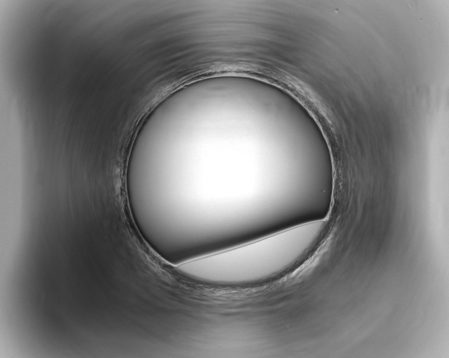 X0000094370985200711020750