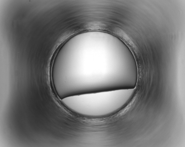 X0000094370986200711020750
