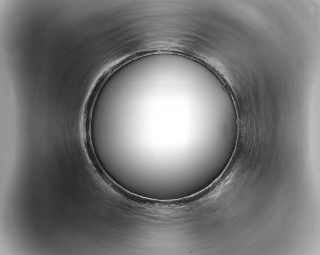 X0000094370987200711020750
