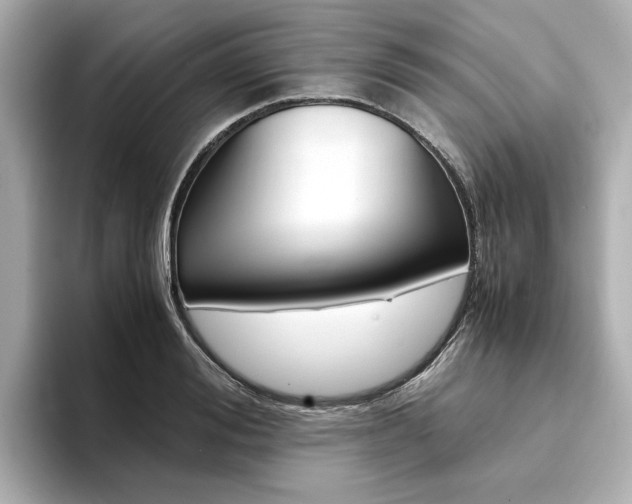 X0000094370988200711020750