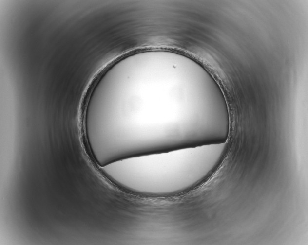 X0000094370990200711020750