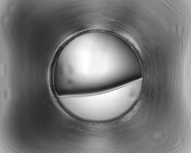 X0000094370991200711020750