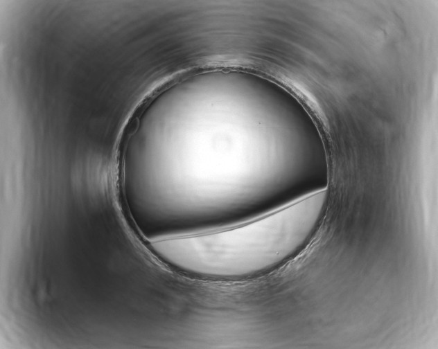 X0000094370992200711020750