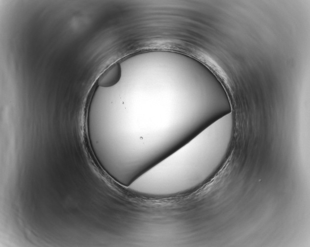 X0000094370994200711020750
