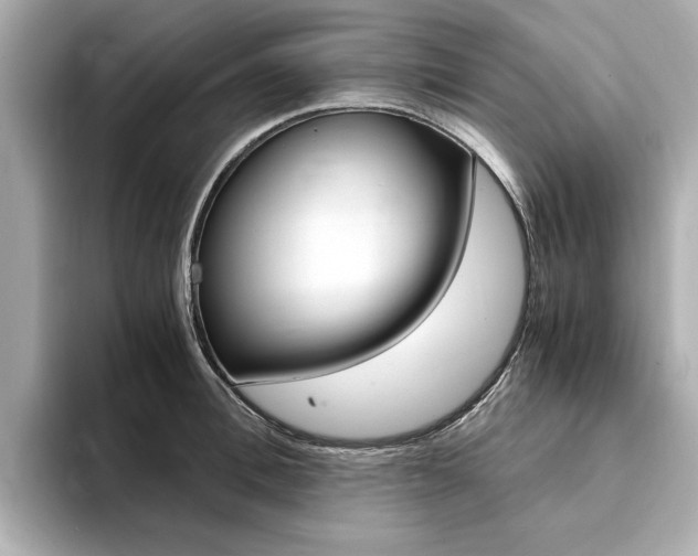 X0000094370996200711020750