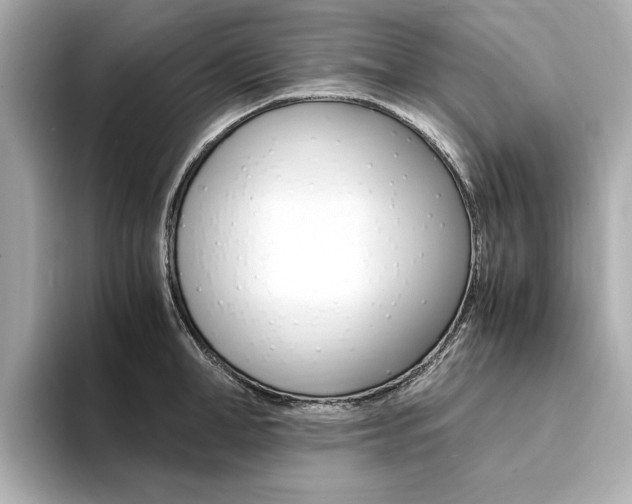 X0000094370998200711020749