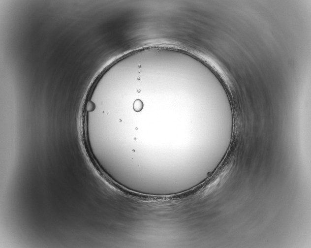 X0000094370999200711020749